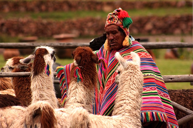 Guide Peruviane
