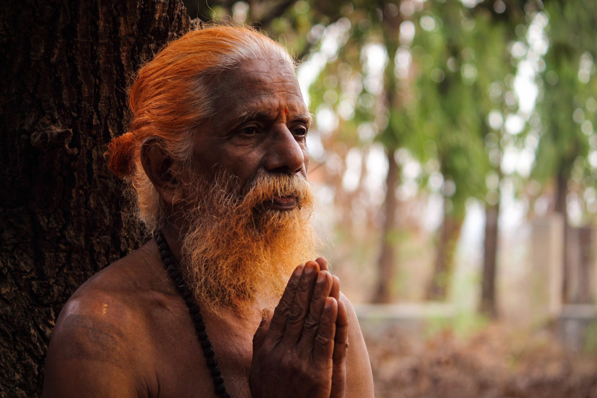 Guru che prega