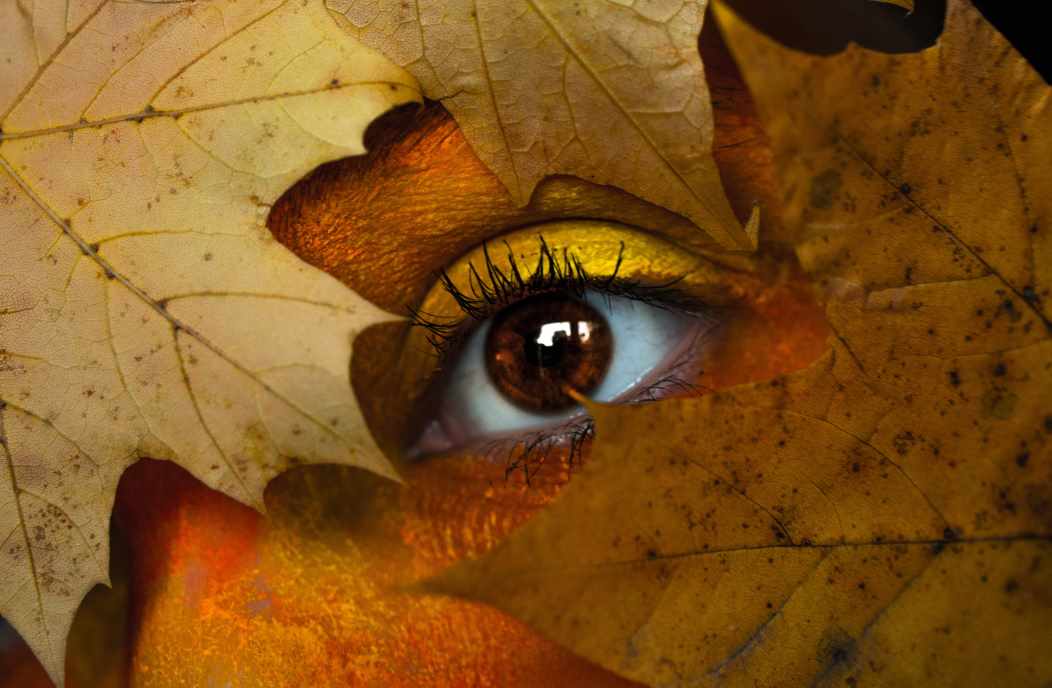 Il mistero del terzo occhio