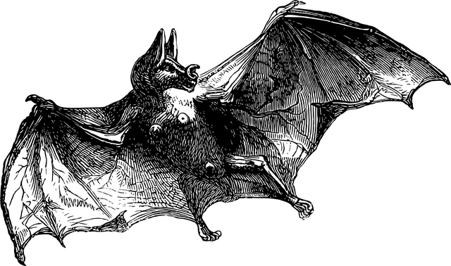 furto energetico